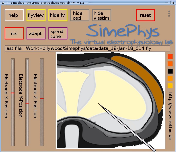 simephys main window