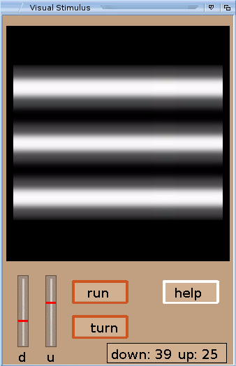 simephys visual stimulus