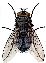 bio.png (5104 bytes)