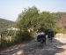 prev/06_Lloret.JPG