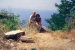 prev/Rom_Nizza_2004-063.jpg